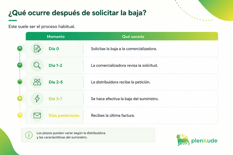 Qué ocurre después de solicitar la baja de la luz y el gas - infografía
